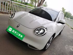 欧拉好猫 2021款 400km标准续航 维纳斯版 磷酸铁锂