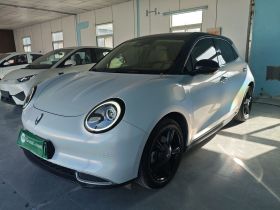 欧拉好猫 2021款 400km标准续航 雅典娜版 三元锂