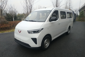 五菱汽车 五菱扬光 2024款 300KM 舒适型客车版 75kW