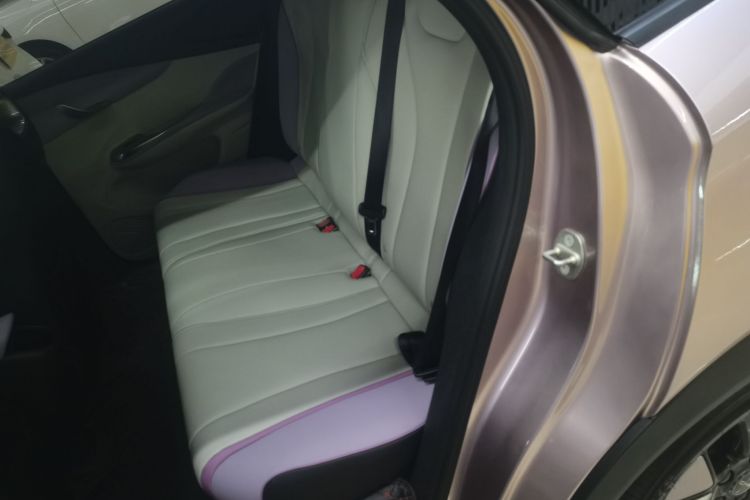 比亚迪 海豚 2021款 401km 骑士版中控内饰7004