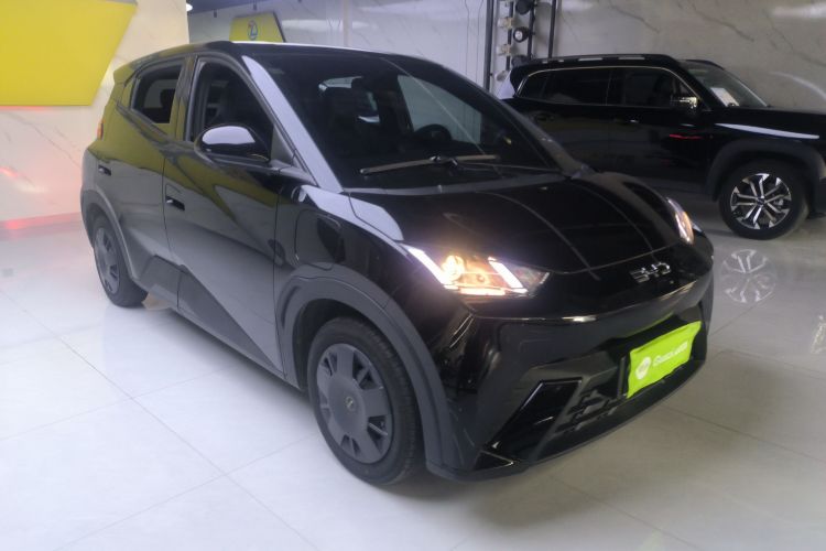 比亚迪 海鸥 2024款 荣耀版 305km 活力版车身外观3