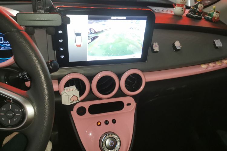 欧拉黑猫 2021款 301km 基础型局部细节16