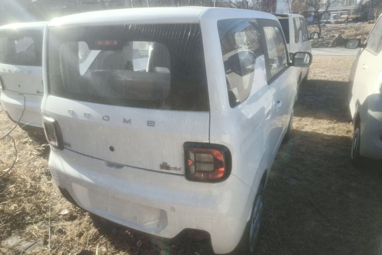 吉利银河 2024款 熊猫mini 200km 耐力熊车身外观7