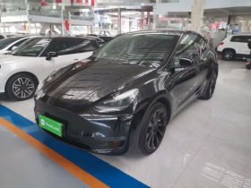 特斯拉 Model Y 2021款 长续航全轮驱动版 3D7