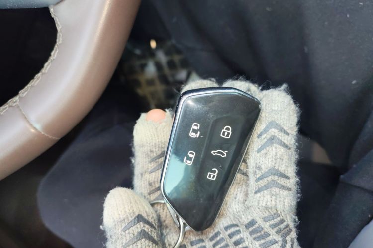 大众 威然 2024款 330TSI 豪华版中控内饰7001