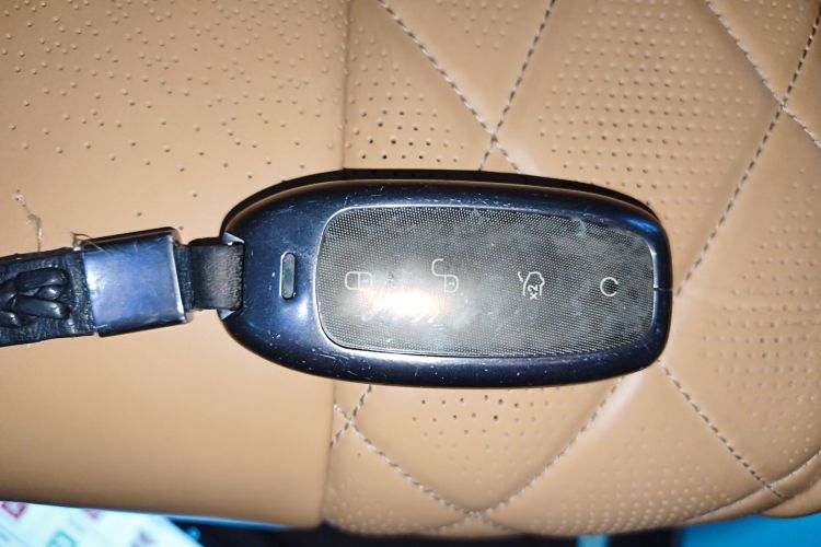 腾势D9 2024款 DM-i 980 四驱尊荣型中控内饰7001