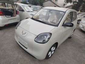 五菱汽车 宏光MINIEV 2025款 四门版 进阶款