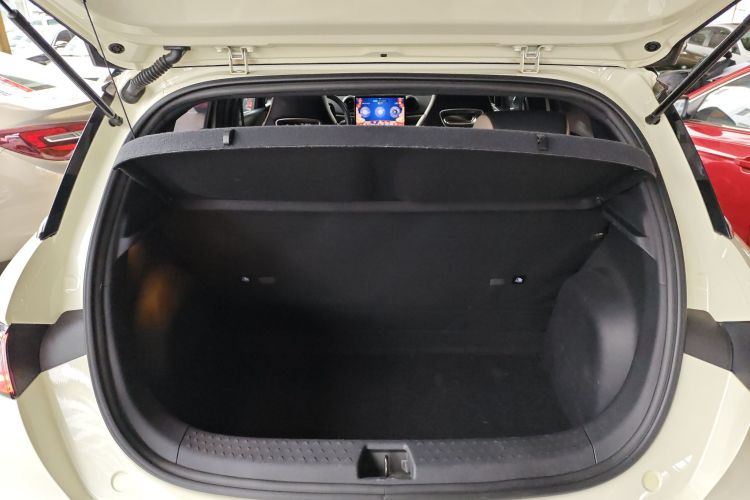 比亚迪 海豚 2021款 405km 时尚版局部细节23