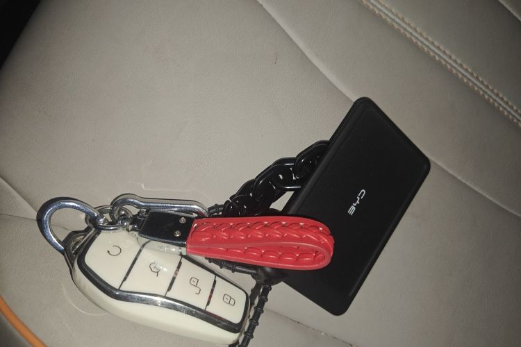 比亚迪 宋Pro新能源 2023款 冠军版 DM-i 110KM卓越型中控内饰7001