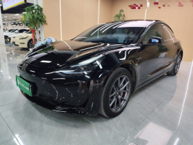 特斯拉 Model 3 2022款 后轮驱动版