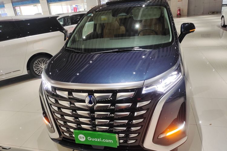 腾势D9 2022款 DM-i 1040 尊贵型车身外观6001