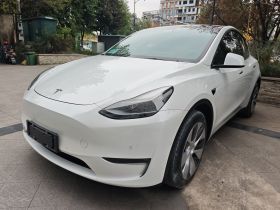 特斯拉 Model Y 2021款 标准续航后驱版