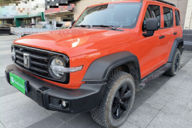 坦克300 2024款 2.0T 挑战者