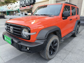 坦克300 2024款 2.0T 挑战者