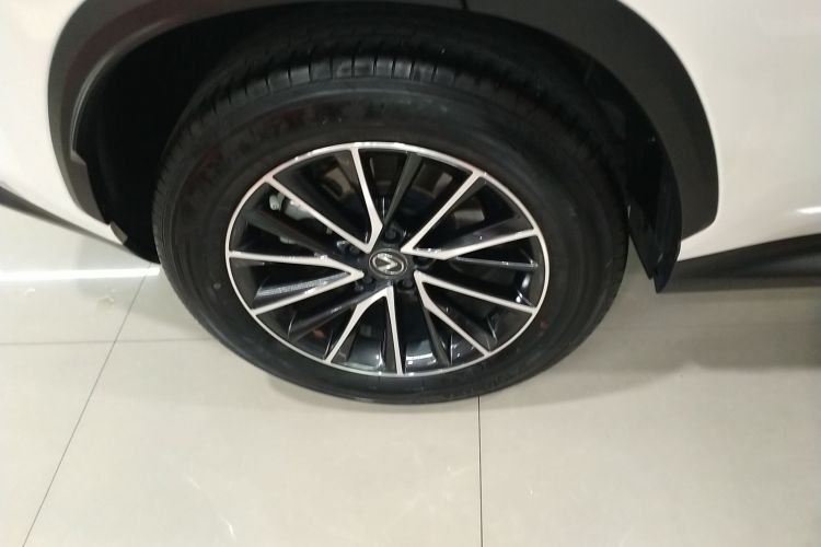 雷克萨斯NX 2023款 260 前驱 创游特别版车身外观6008