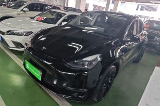特斯拉 Model Y 2021款 改款二 长续航全轮驱动版
