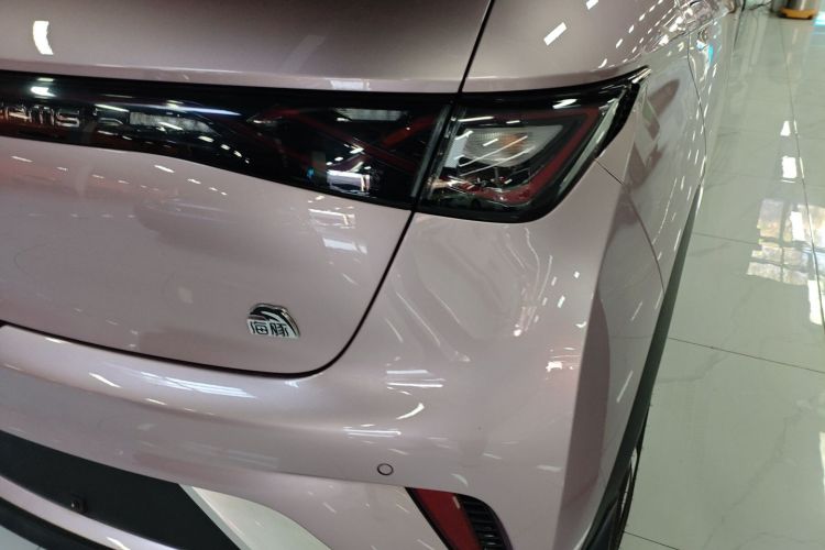 比亚迪 海豚 2021款 401km 骑士版车身外观6006