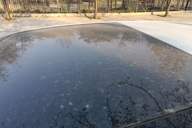 大众 高尔夫 2020款 挚爱版 280TSI DSG舒适型局部细节57