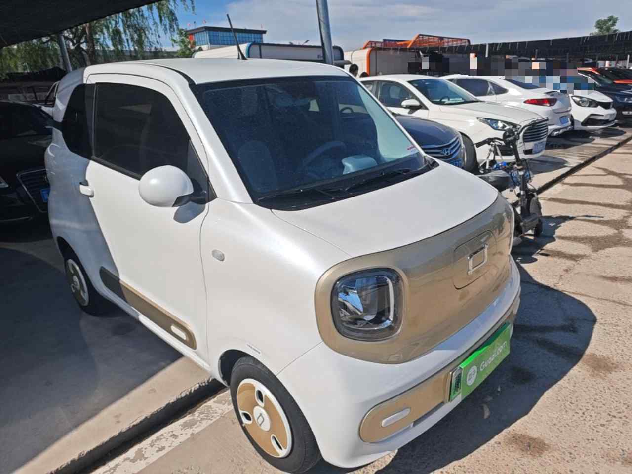 奔腾小马 2024款 170km 活力马(5)