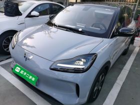 五菱汽车 五菱缤果PLUS 2024款 510km 旗舰版 四座版