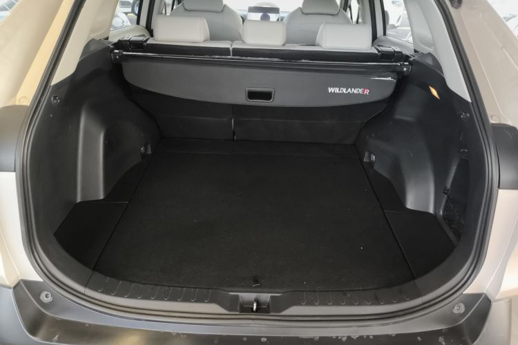 丰田 威兰达 2020款 2.0L CVT四驱豪华版局部细节23