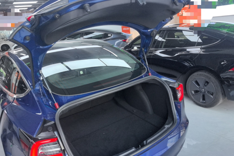 特斯拉 Model 3 2019款 标准续航后驱升级版局部细节23