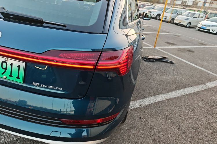 奥迪e-tron(进口) 2019款 55 quattro 技术型车身外观9