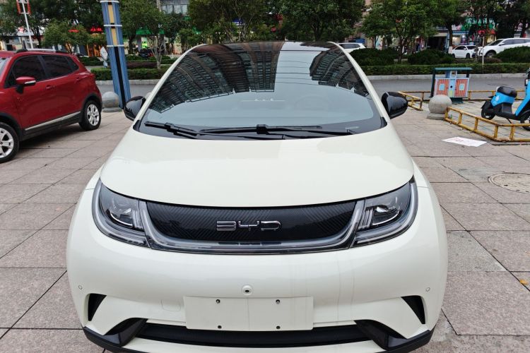 比亚迪 海豚 2023款 420km 时尚版车身外观2