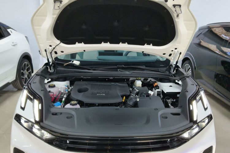 领克06 EM-P 2023款 EM-P 126长续航Halo局部细节24