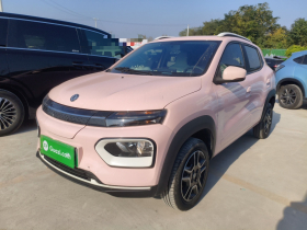 东风纳米EX1 2023款 PRO 轻风版闪电型