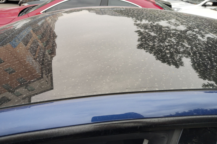 特斯拉 Model 3 2021款 标准续航后驱升级版局部细节57