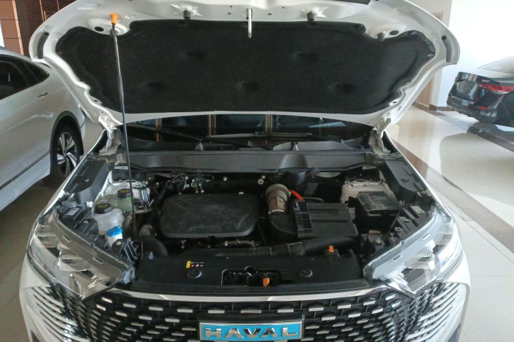 哈弗H6新能源 2023款 DHT-PHEV 110KM 悦行版局部细节24