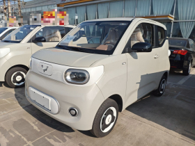 五菱汽车 宏光MINIEV 2024款 第三代 215km 青春版