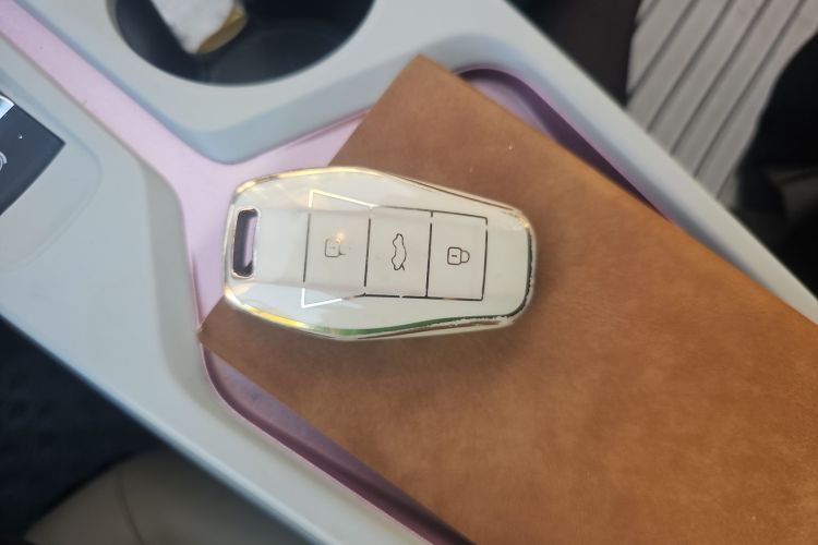 思皓 2022款 花仙子款 四叶草中控内饰7001