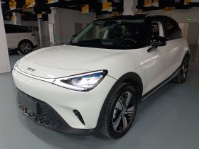 smart精灵#1 2024款 灵动标准版