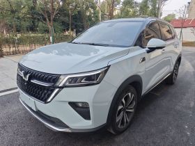 五菱汽车 五菱星辰 2022款 2.0L DHT电速款