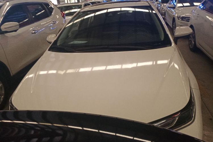 丰田 亚洲狮 2021款 2.0L 豪华版车身外观6001