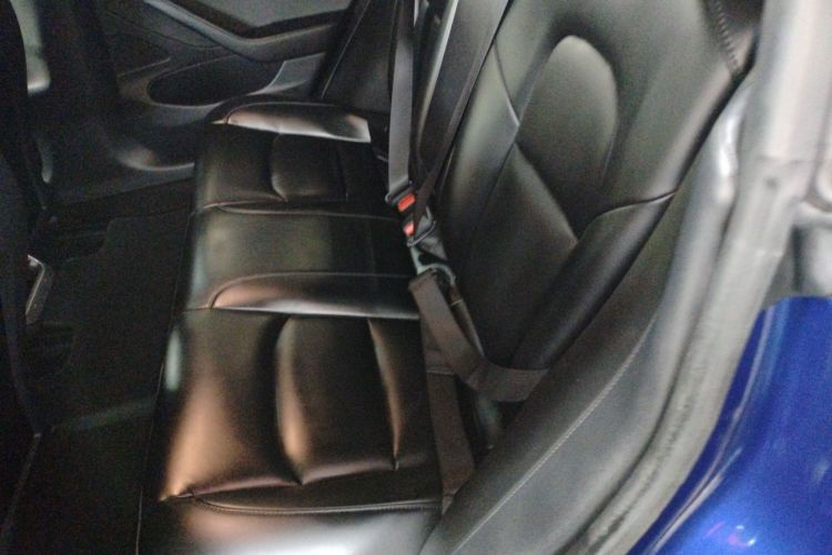 特斯拉 Model 3 2020款 改款 长续航后轮驱动版中控内饰7004