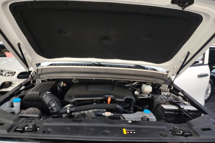 坦克300 2023款 越野版 2.0T 征服者机舱底盘24