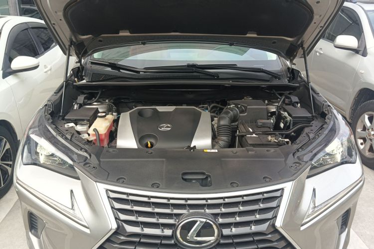 雷克萨斯NX 2020款 200 前驱 锋行版 国VI机舱底盘24