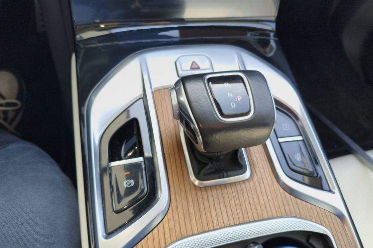 红旗E-HS9 2021款 510km 旗领版 四座局部细节18