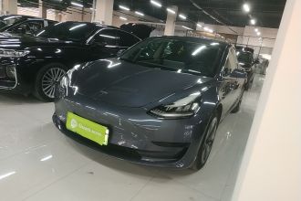 特斯拉 Model 3 2020款 标准续航后驱升级版