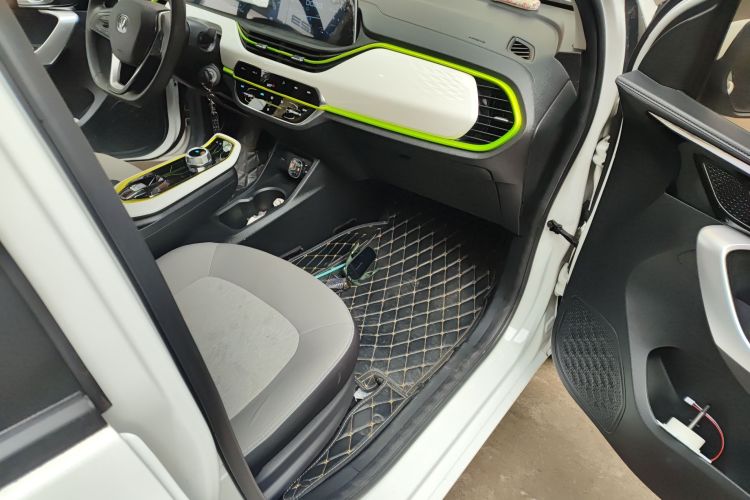 长安欧尚 奔奔E-Star 2020款 心动版 三元锂局部细节9005