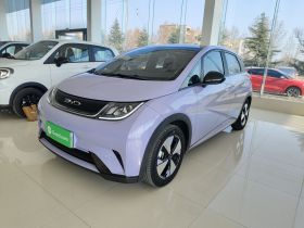 比亚迪 海豚 2023款 420km 时尚版