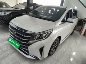 广汽传祺 传祺M8 2024款 领秀系列 390T 豪华版