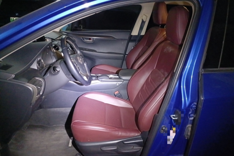 雷克萨斯NX 2015款 200 前驱 锋行版中控内饰19