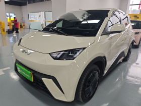 比亚迪 海鸥 2025款 305km 活力版