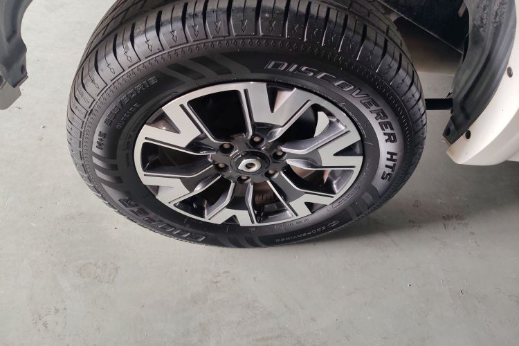 长城 炮 2020款 2.0T自动柴油两驱舒适版GW4D20M车身外观6008