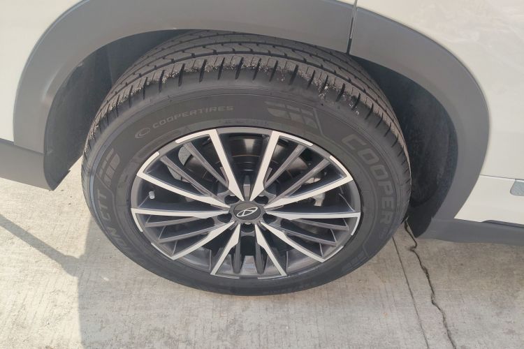 奇瑞 瑞虎8 PRO 2024款 冠军版 290T 两驱巅峰版 5座车身外观6008