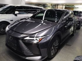 雷克萨斯RZ 2023款 450e 四驱纵行版